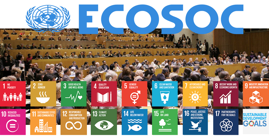 United Nations Economic and Social Council